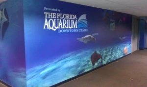 Clearwater Vinyl Signs clearwatersigncompany wall window graphics 20